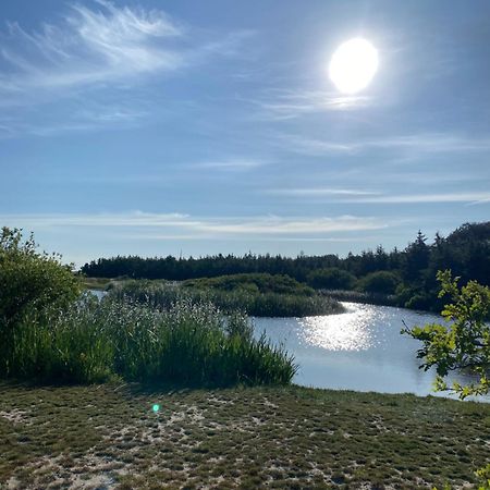 Zijperweg Vakantiehuis Vlakbij Zee, Strand En Bos Petten Exteriér fotografie