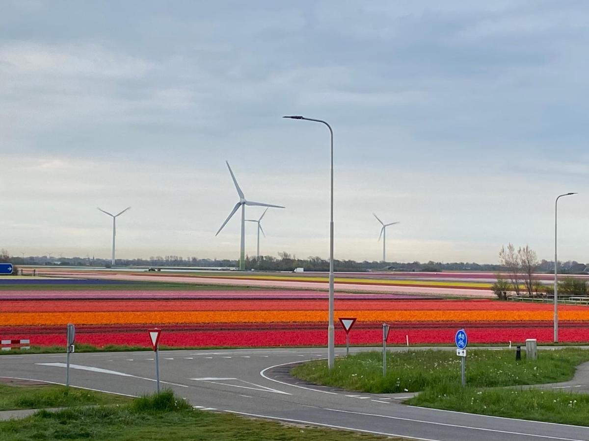 Zijperweg Vakantiehuis Petten Exteriér fotografie