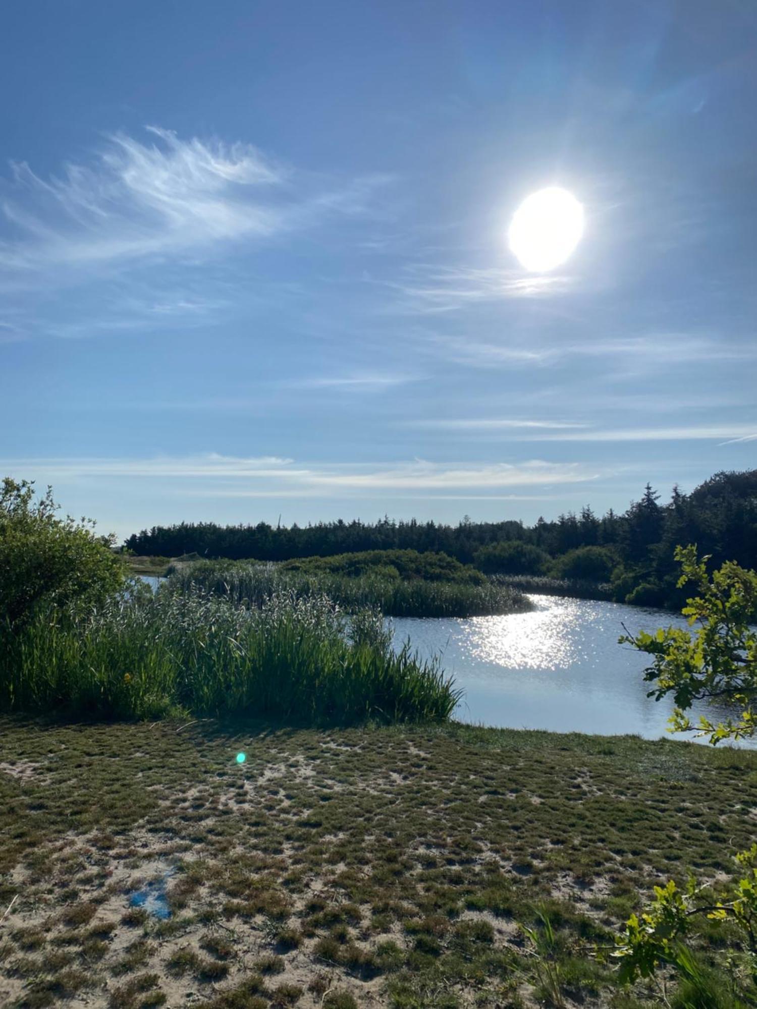 Zijperweg Vakantiehuis Petten Exteriér fotografie